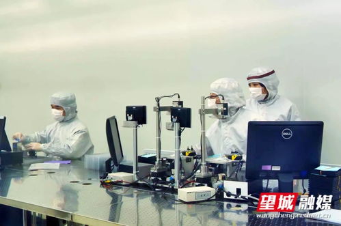 長沙加快經(jīng)濟(jì)社會(huì)秩序恢復(fù) 咨詢服務(wù)業(yè)助力高質(zhì)量發(fā)展